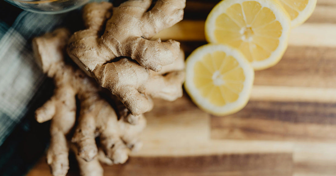 Ginger Tea Benefits: What Is Ginger Good For in Digestion, Immunity & Energy?